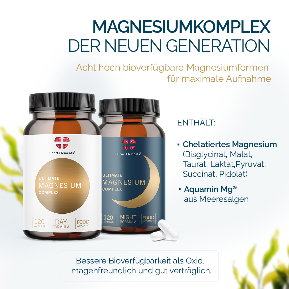 Complément Magnésium 1000mg - 90 Gélules - Soutien Osseux, Immunitaire Et Musculaire