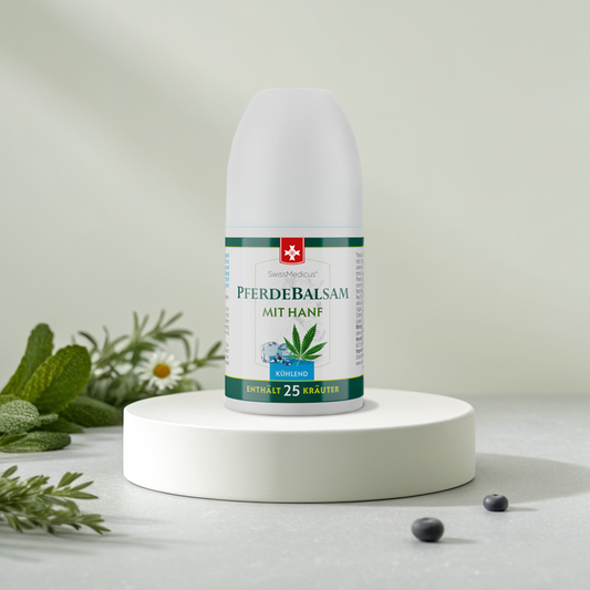 Pferdebalsam au chanvre ROLL-ON
